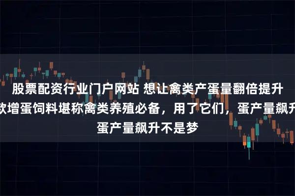 股票配资行业门户网站 想让禽类产蛋量翻倍提升？这三款增蛋饲料堪称禽类养殖必备，用了它们，蛋产量飙升不是梦